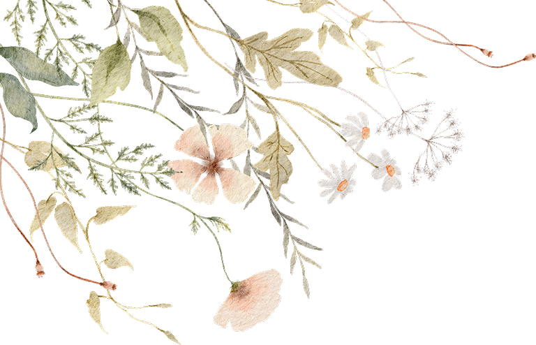 예인스튜디오 about 요소 이미지