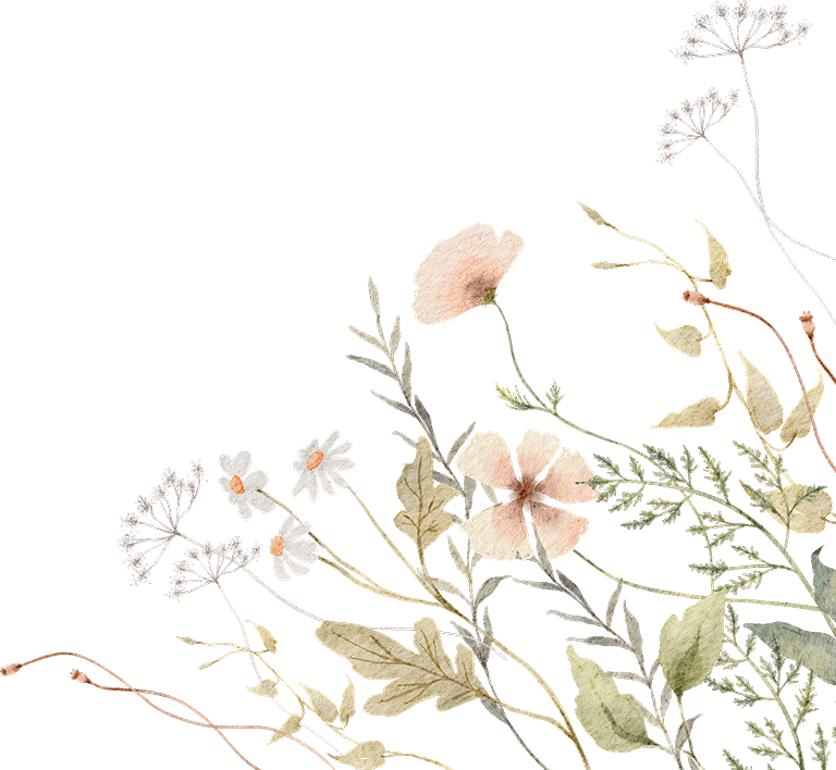 예인스튜디오 about 요소 이미지